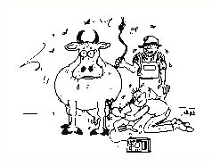 Drawing of a teat endoscopy on a cow