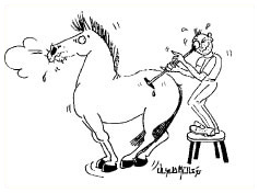 Zeichnung einer Laparoskopie am Pferd