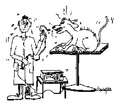 Drawing of a gastroscopy on the dog